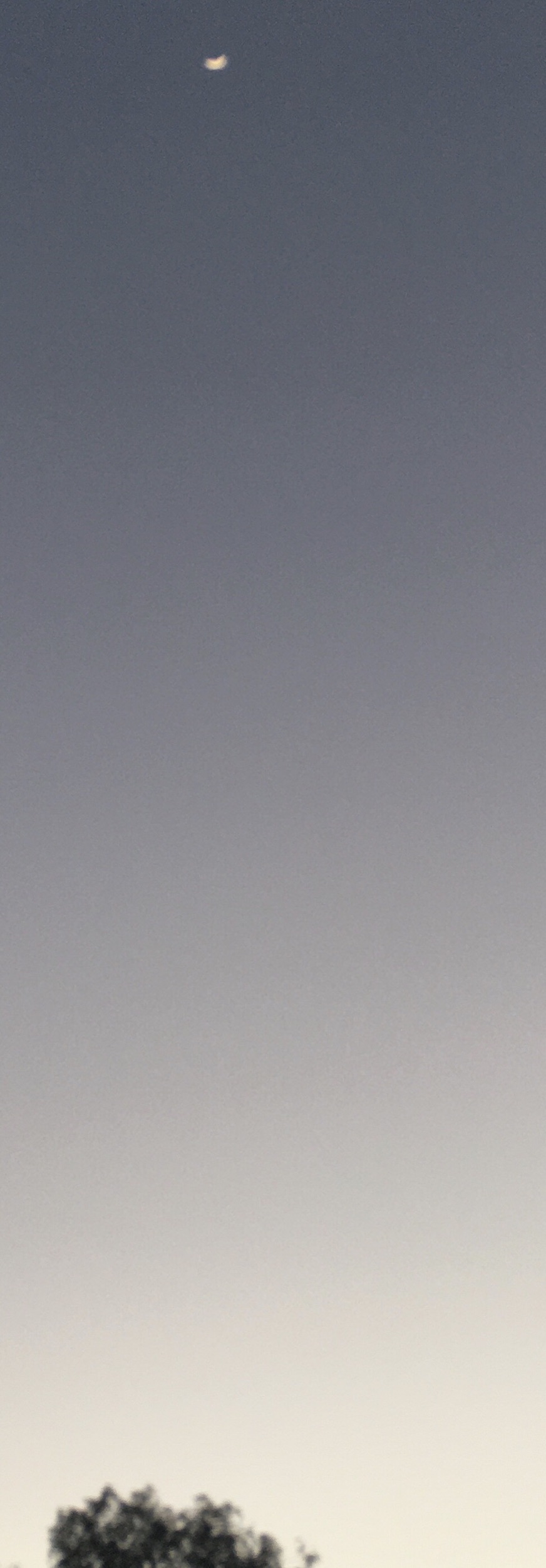 The crescent rises every night | EDUCATION, A LIFE FORCE BBB